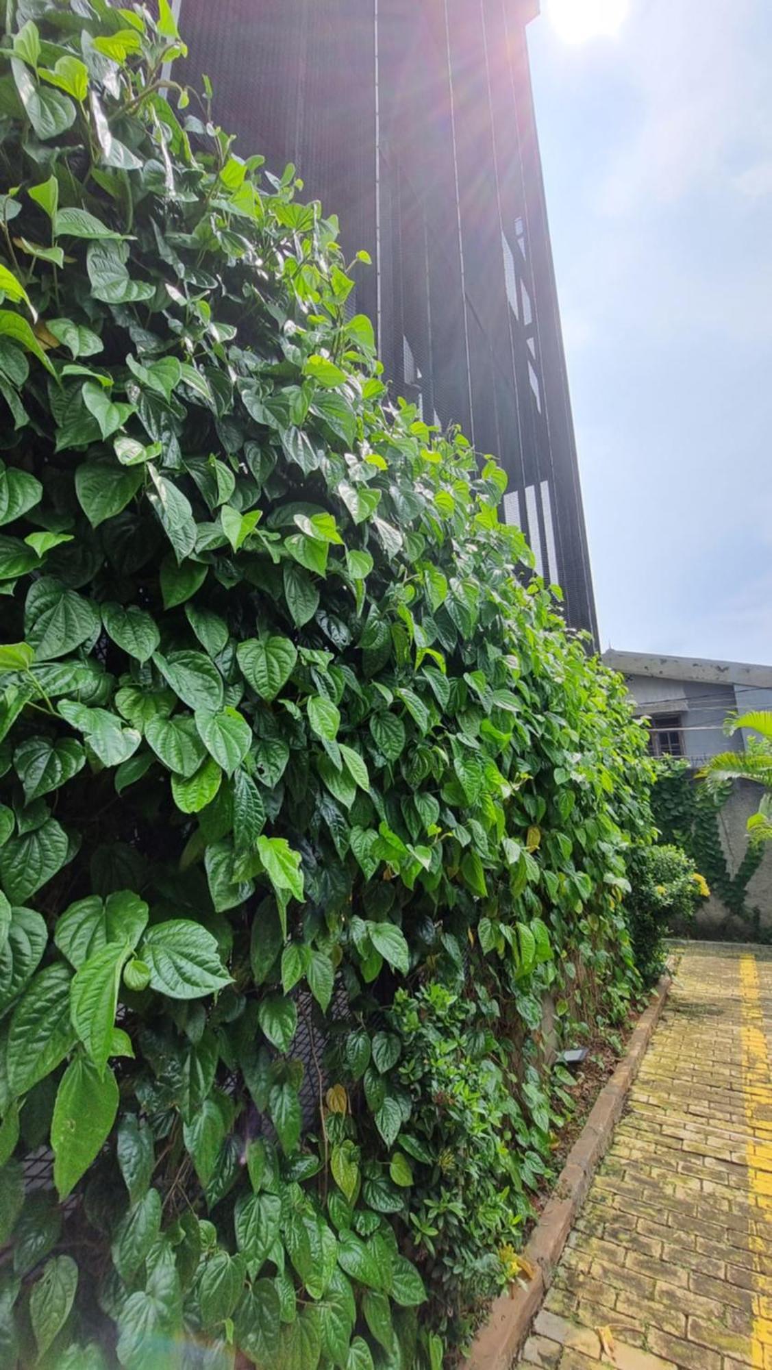 Guest House 555 Nki South Tangerang Ngoại thất bức ảnh